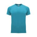 Turquois