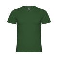 Vert bouteille