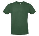 Vert bouteille