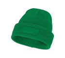 Vert fougère