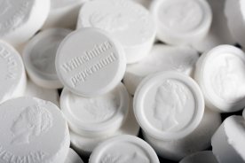 Wilhelmina mints