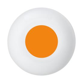 Bouton-poussoir du stylo
